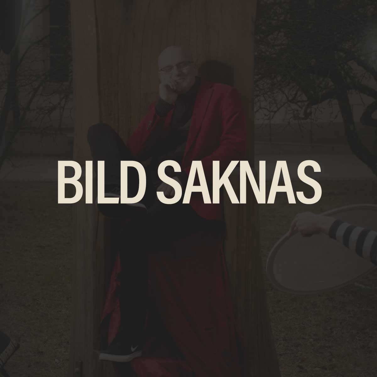 bildsaknas-3